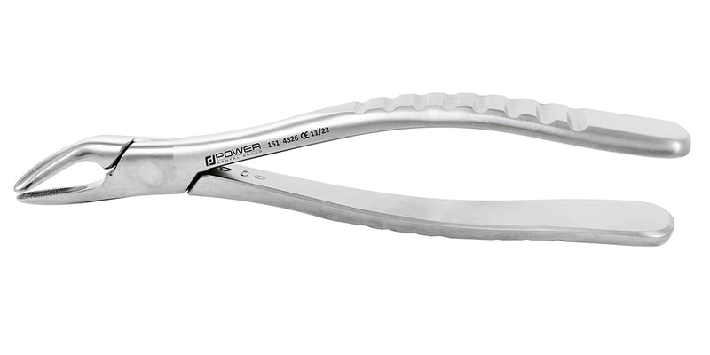Extraction Forceps American 151 Lower Premolar and Lower Universal