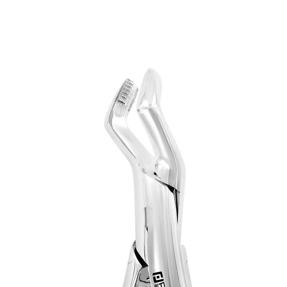 Extraction Forceps – American Pattern 210S, Upper Wisdom