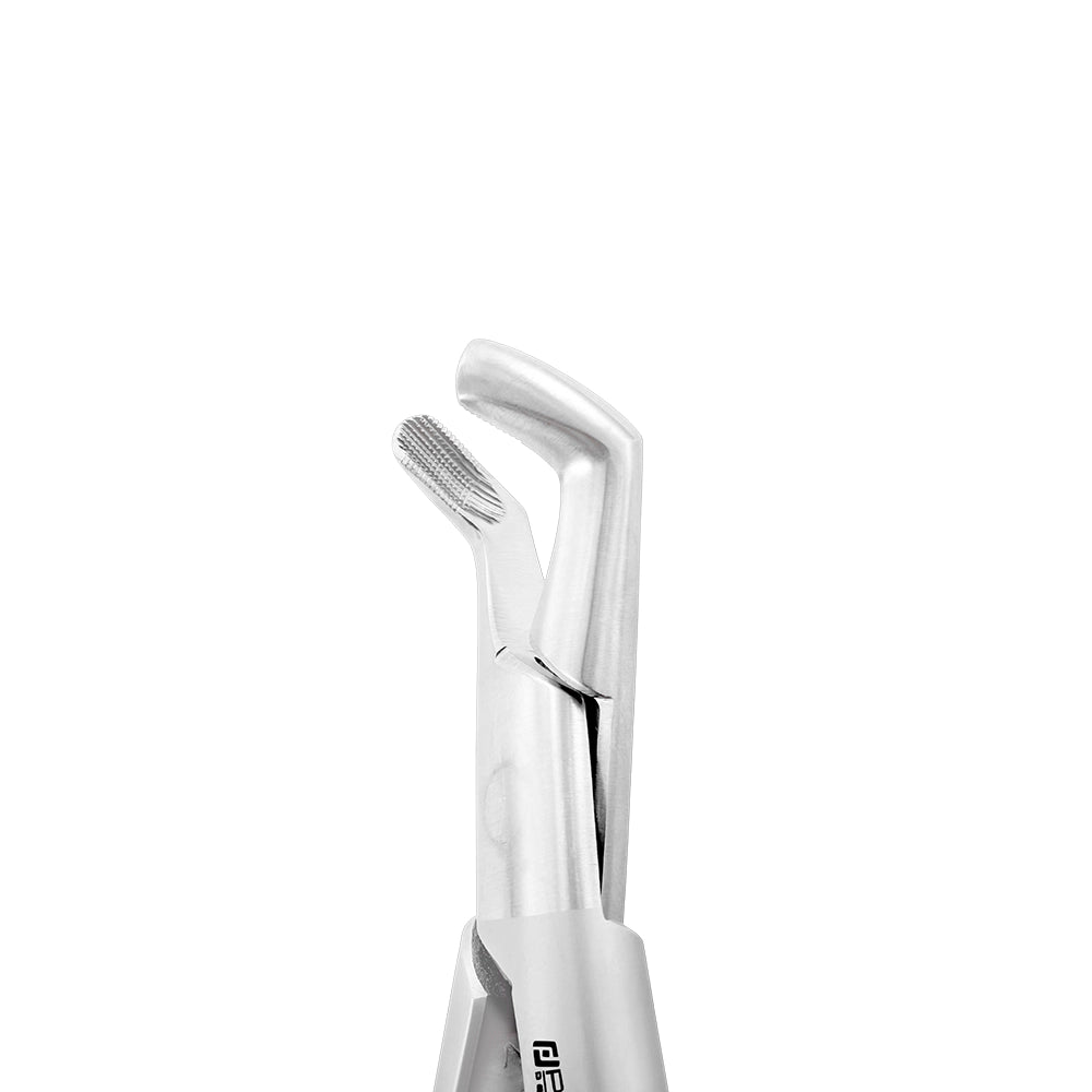Extraction Forceps – American Pattern 222, Lower Wisdom