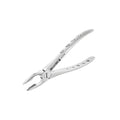 Forceps d'extraction – Modèle anglais 1, partie supérieure centrale