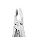 Forceps d'extraction – Modèle anglais 1, partie supérieure centrale