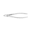 Forceps d'extraction – Modèle anglais 1, partie supérieure centrale