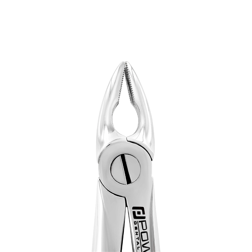 Extraction Forceps – English Pattern 2, Upper Bicuspids