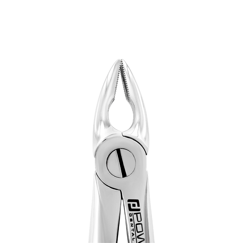 Extraction Forceps – English Pattern 2, Upper Bicuspids