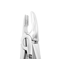 Forceps d'extraction – Modèle anglais 2, prémolaires supérieures