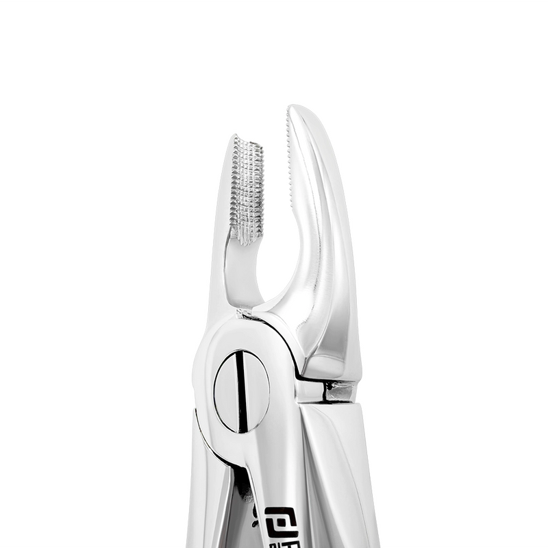 Extraction Forceps – English Pattern 2, Upper Bicuspids