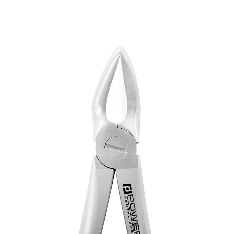 Extraction Forceps – English Pattern 8, Lower Premolar