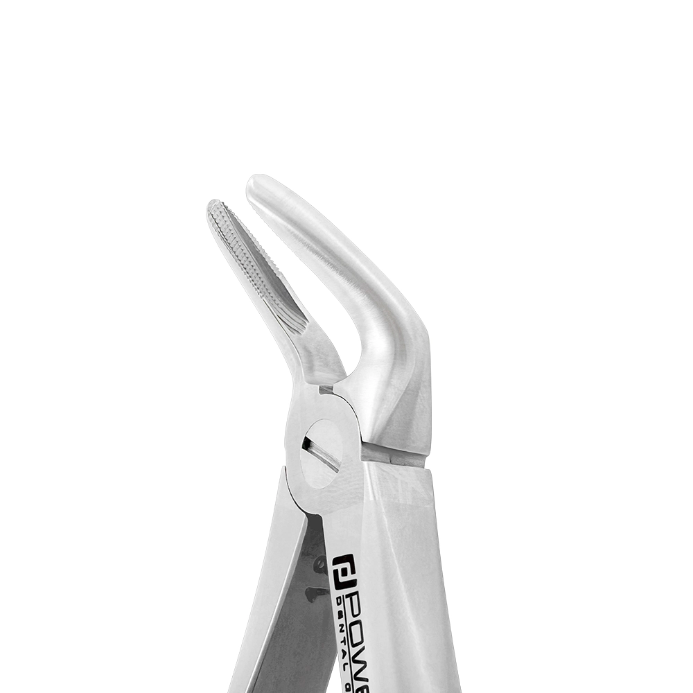 Extraction Forceps – English Pattern 8, Lower Premolar