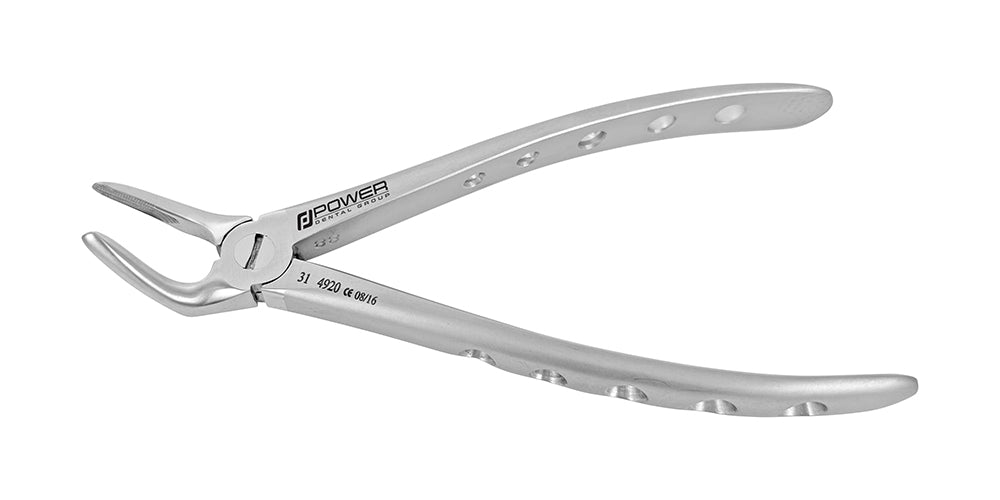 ENGLISH FORCEPS 31 LOWER ROOT