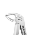 Forceps d'extraction – Modèle anglais 33, Racine inférieure