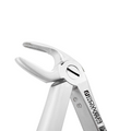 Forceps d'extraction – Modèle anglais 33, Racine inférieure