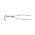 Forceps d'extraction – Modèle anglais 74, incisive inférieure
