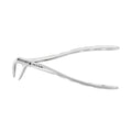 Forceps d'extraction – Modèle anglais 74, incisive inférieure