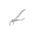 Forceps d'extraction – Modèle anglais 86C, molaire inférieure