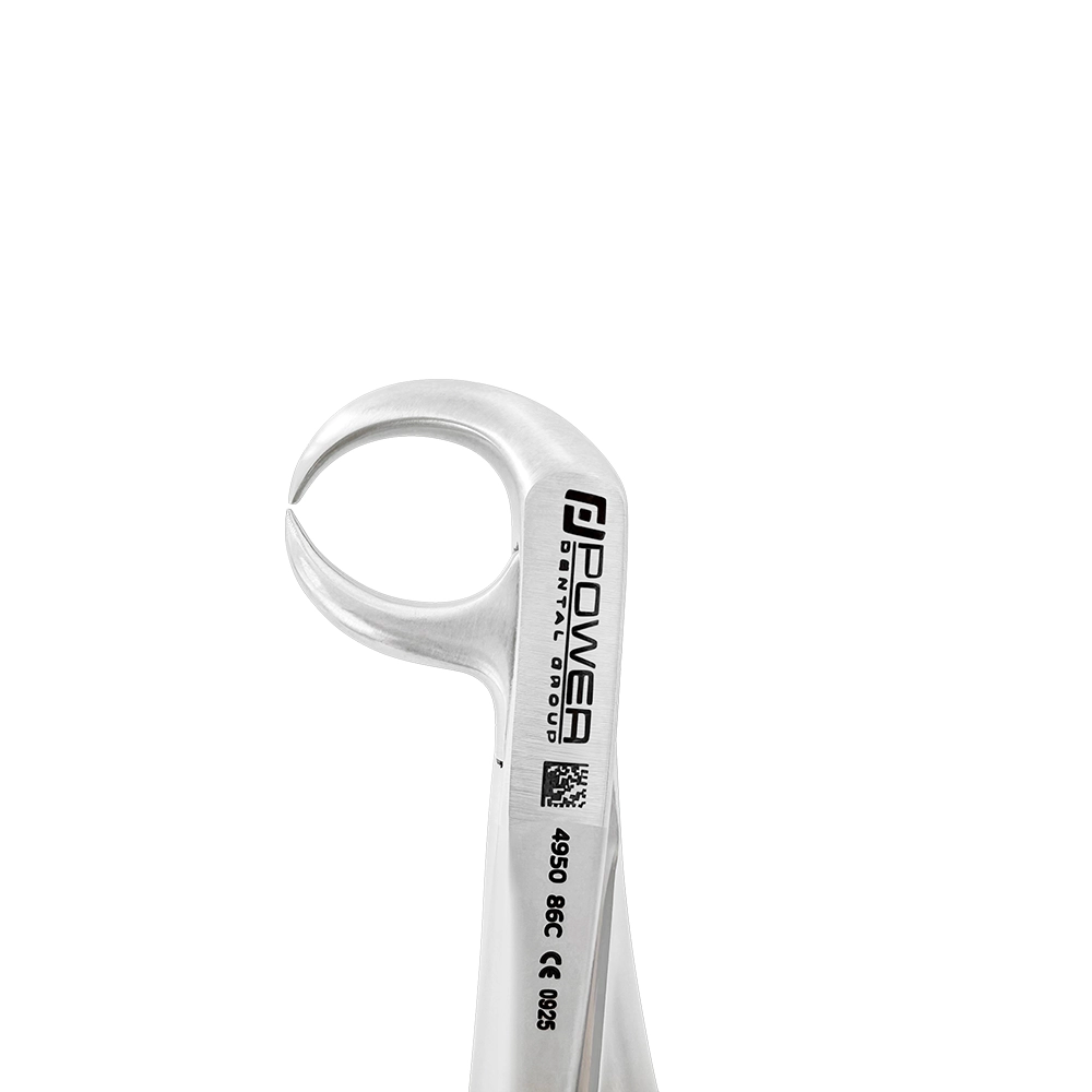 Extraction Forceps – English Pattern 86C, Lower Molar