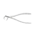 Forceps d'extraction – Modèle anglais 86C, molaire inférieure