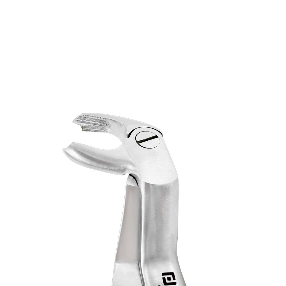 Close-up of the angled beak on 4972 Power Extraction Forceps – #22 Molar Pattern, 45° Cross-Arch for lower left and upper right molar extractions.