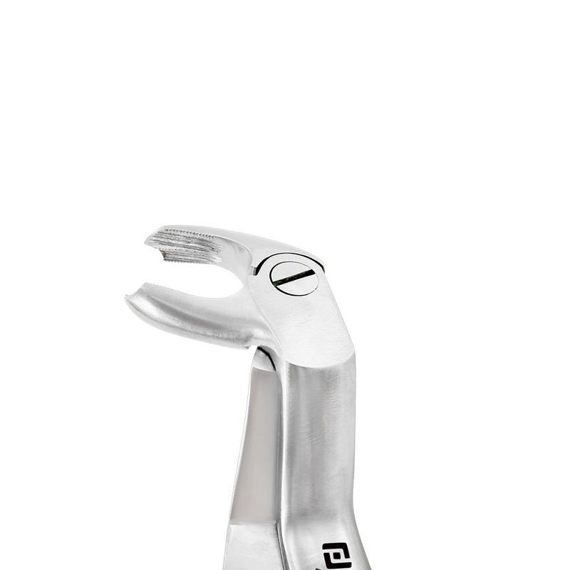 Close-up of the angled beak on 4972 Power Extraction Forceps – #22 Molar Pattern, 45° Cross-Arch for lower left and upper right molar extractions.