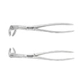 Kit de forceps d'extraction – Molaire n° 22, angulation de 45° pour une extraction croisée, lot de 2