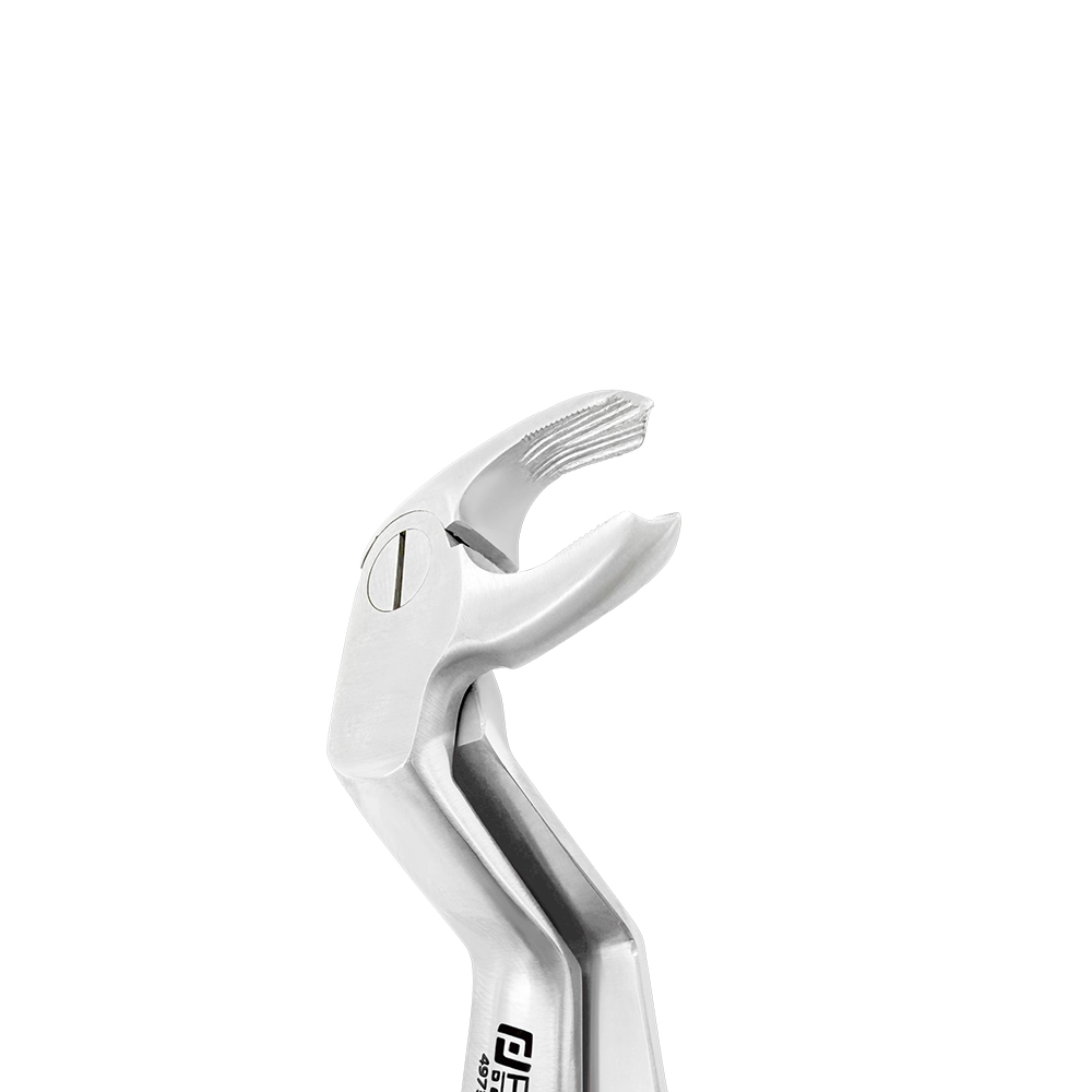 Close-up of the angled beak on 4973 Power Extraction Forceps – #22 Molar Pattern, 45° Cross-Arch for lower right and upper left molar extractions.