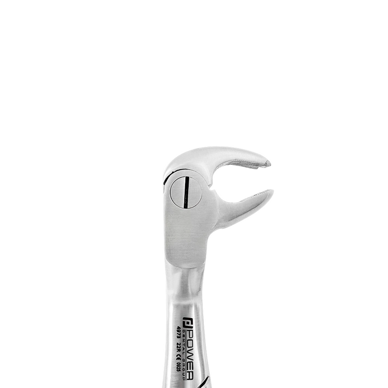 Front close-up of the serrated inner beaks on 4973 Power Extraction Forceps – #22 Molar Pattern, 45° Cross-Arch – Lower Right / Upper Left.