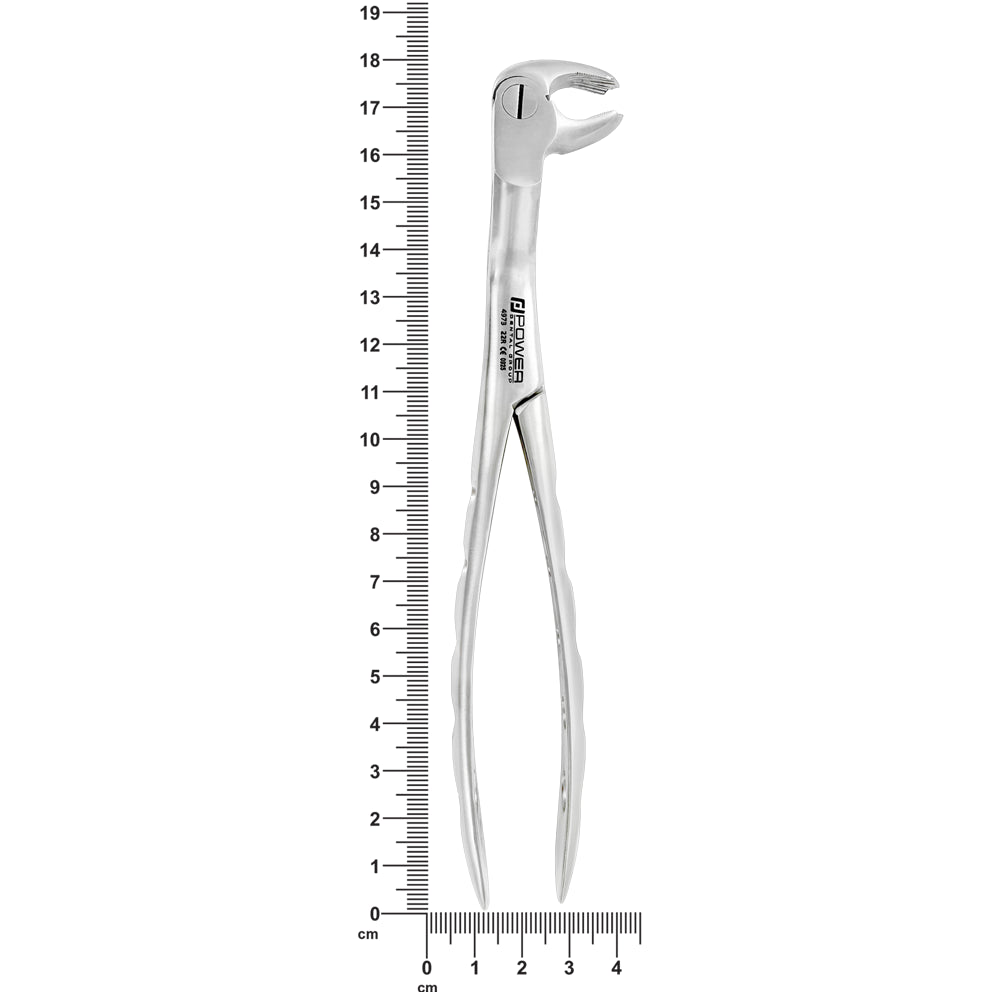 4973 Power Extraction Forceps – #22 Molar Pattern, 45° Cross-Arch – Lower Right / Upper Left shown next to a ruler for size reference.
