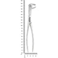 4973 Power Extraction Forceps – #22 Molar Pattern, 45° Cross-Arch – Lower Right / Upper Left shown next to a ruler for size reference.