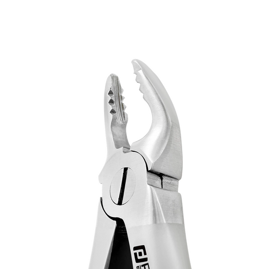 Angled close-up of Power Atraumatic Extraction Forceps #150 F1P showing serrated tapered beaks for upper premolars