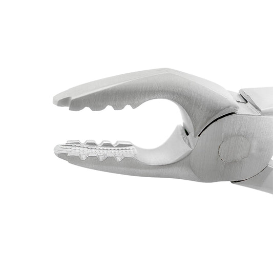 Close-up of serrated beaks on Atraumatic Extraction Forceps F1