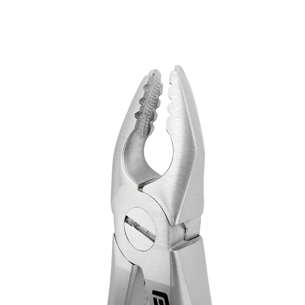 Front close-up of Power Atraumatic Extraction Forceps #150 F1P showing tapered serrated beaks for upper premolars
