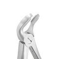 Reverse angled close-up of Power Atraumatic Extraction Forceps #151 F2P showing serrated beaks for lower premolars