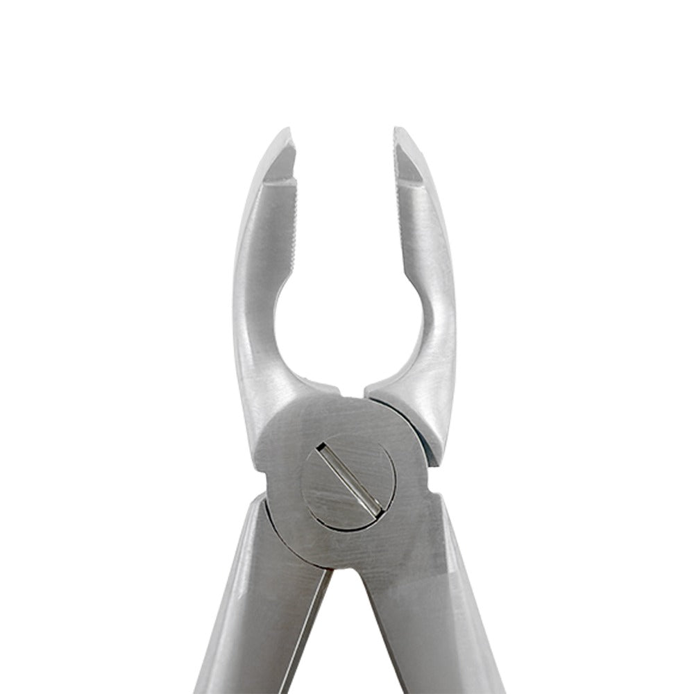 Extraction Forceps F2 – Lower Universal