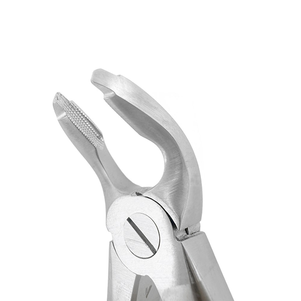 Extraction Forceps F2 – Lower Universal