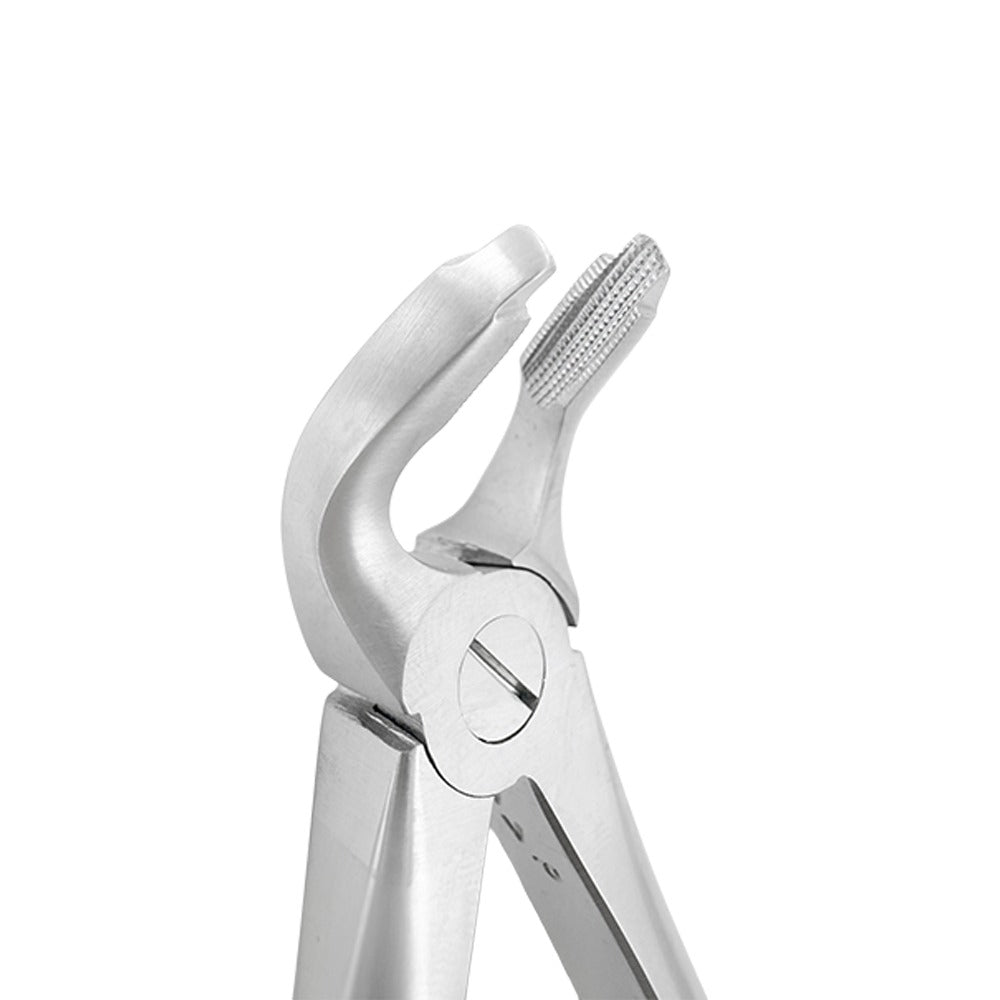 Extraction Forceps F2 – Lower Universal