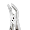 Angled close-up of Power Atraumatic Extraction Forceps #151 F2P showing serrated tapered beaks for lower premolars