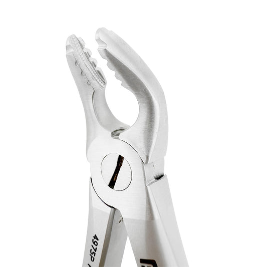 Angled close-up of Power Atraumatic Extraction Forceps #151 F2P showing serrated tapered beaks for lower premolars