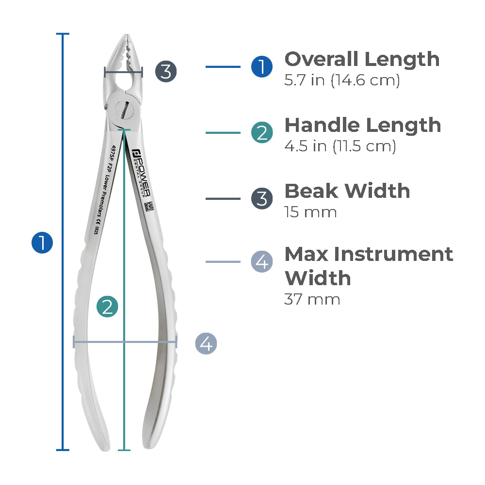 Dimensions of Power Atraumatic Extraction Forceps #151 F2P showing overall length, handle length, beak width, and maximum instrument width