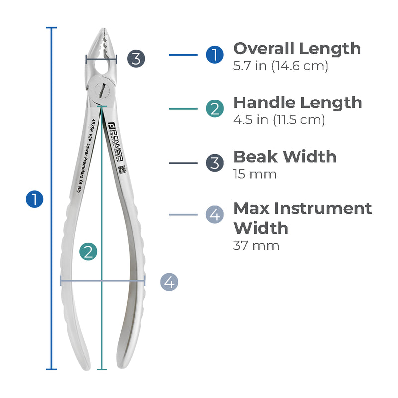 Dimensions of Power Atraumatic Extraction Forceps #151 F2P showing overall length, handle length, beak width, and maximum instrument width