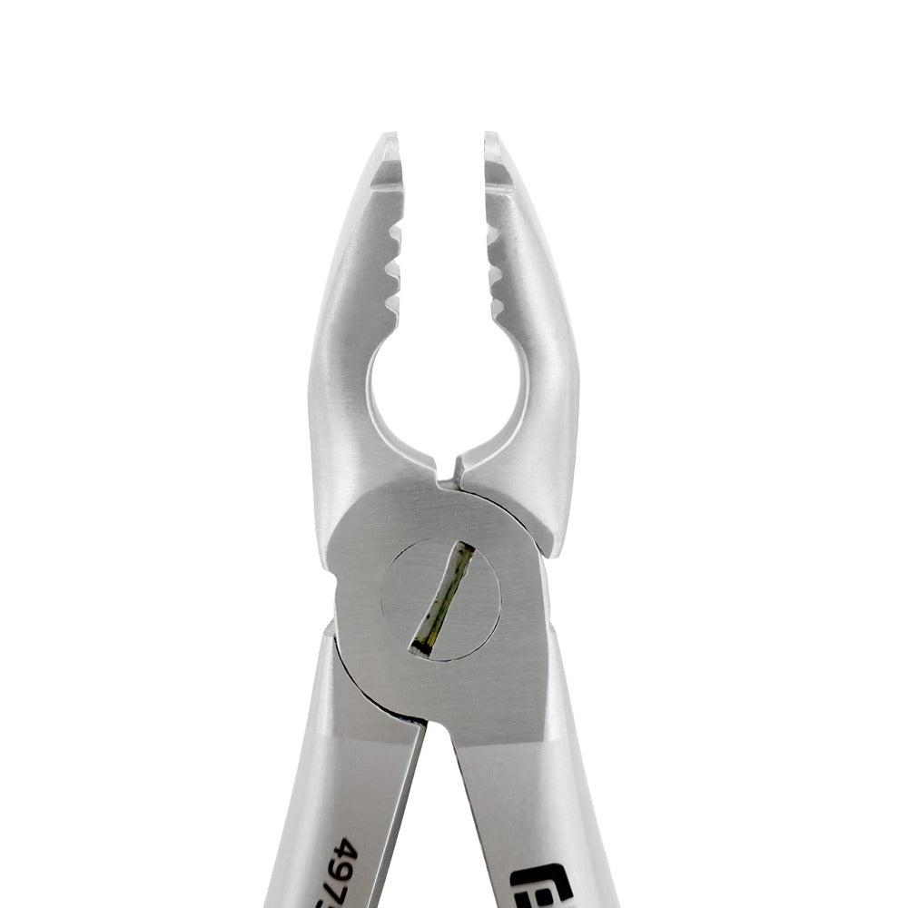 Front close-up of Power Atraumatic Extraction Forceps #151 F2P showing working ends for lower premolar extractions