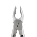 Front close-up of Power Atraumatic Extraction Forceps #151 F2P showing working ends for lower premolar extractions