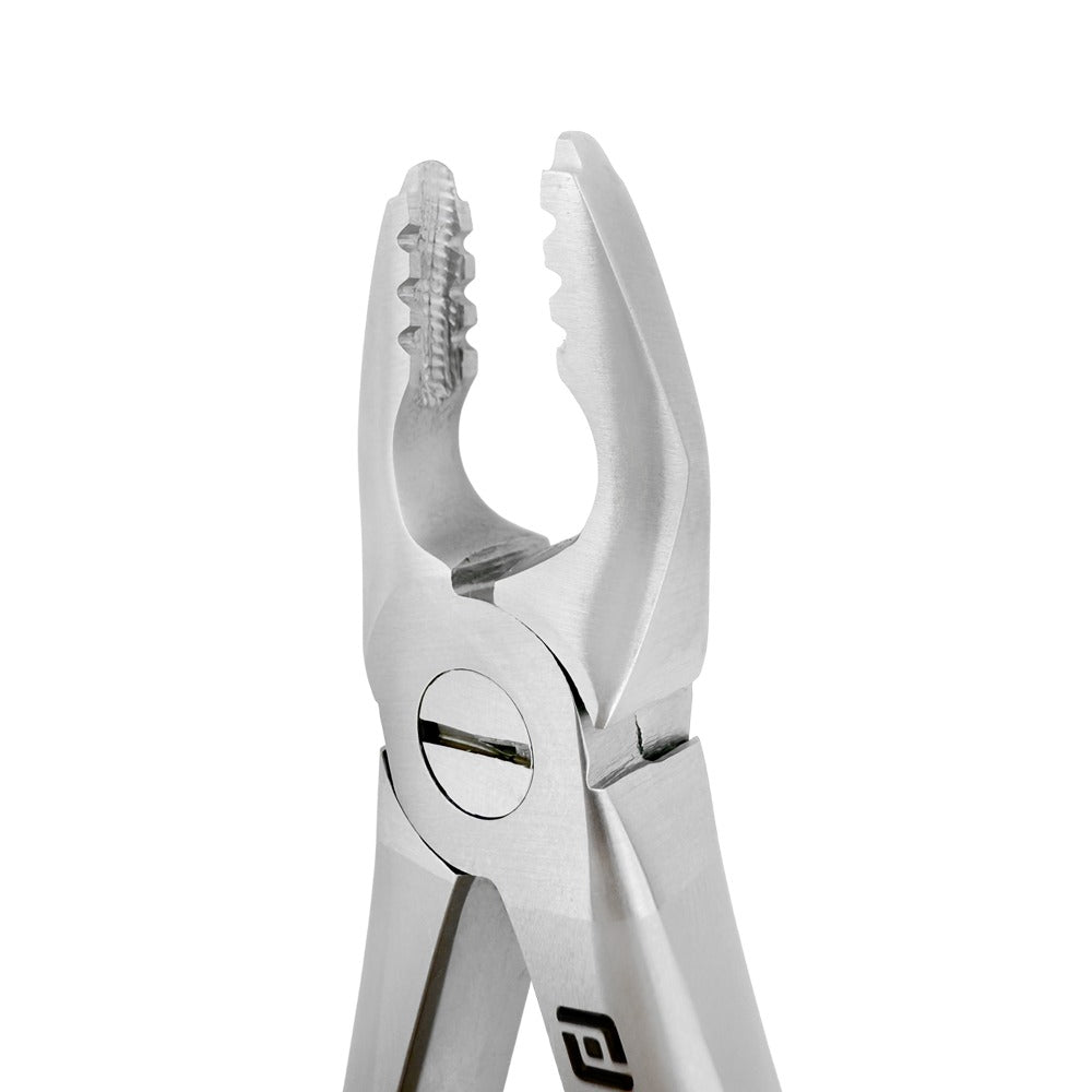 Angled close-up of Power Atraumatic Extraction Forceps Straight F3P showing serrated tapered beaks for upper anteriors