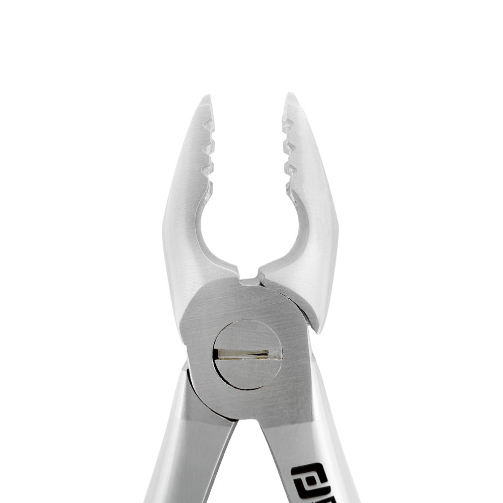 Front close-up of Power Atraumatic Extraction Forceps Straight F3P showing working ends for upper anterior extractions