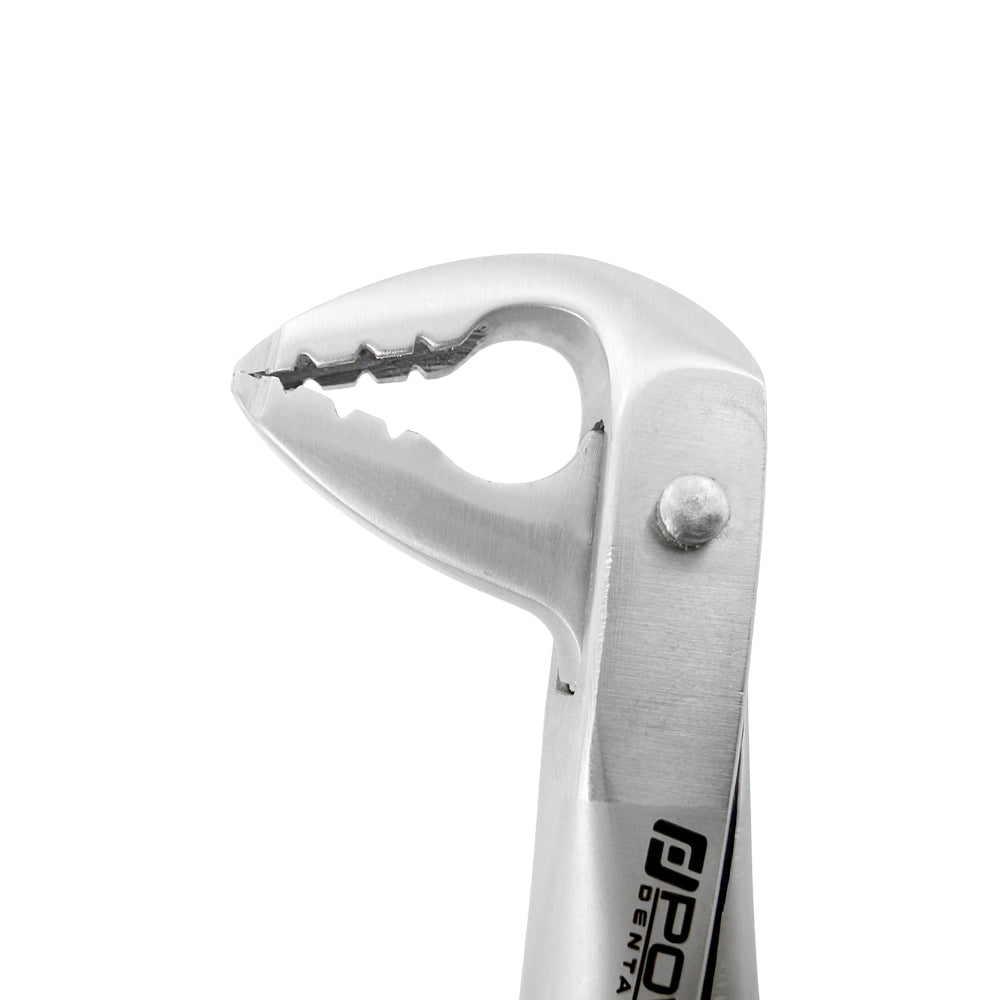 Power Atraumatic Extraction Forceps – Ash F4P, Lower Anteriors