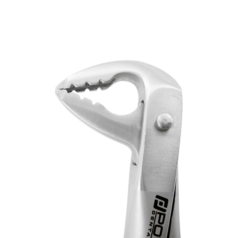 Power Atraumatic Extraction Forceps – Ash F4P, Lower Anteriors