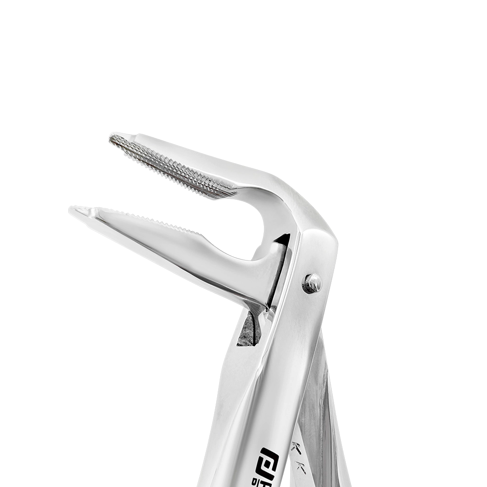 Forceps d'extraction F4 Incision antérieure inférieure 