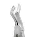 Power Atraumatic Extraction Forceps – Universal F6P, Upper Molars – Compact Handle