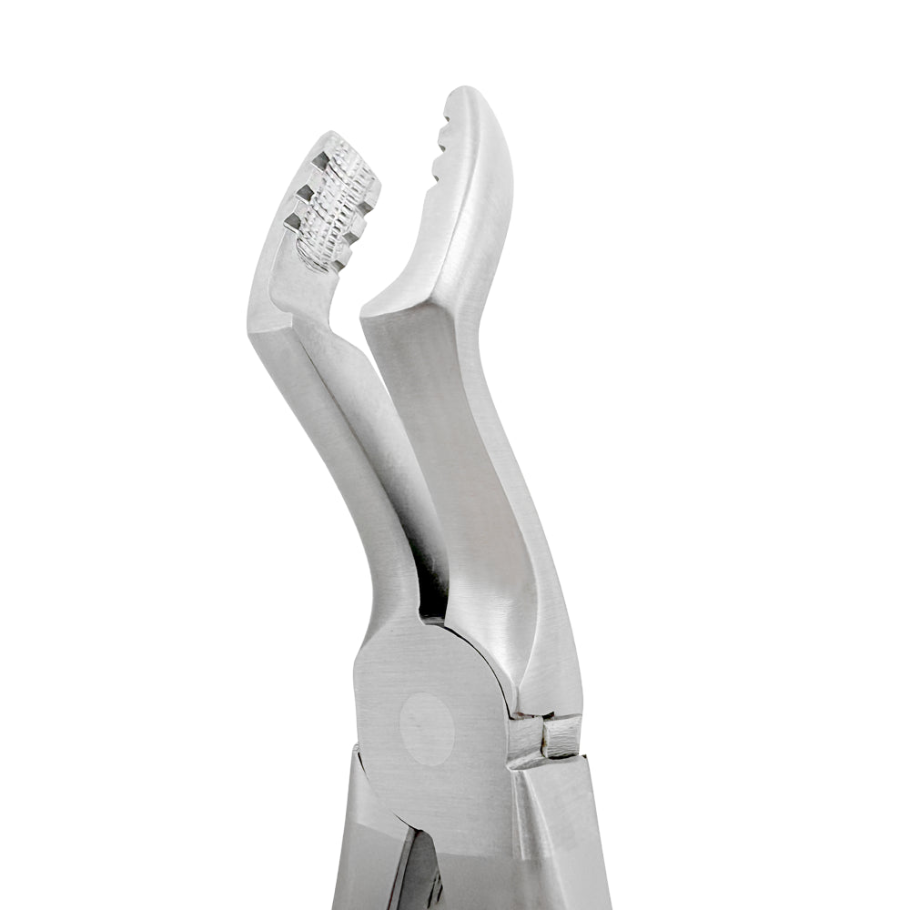 Power Atraumatic Extraction Forceps – Universal F6P, Upper Molars – Compact Handle