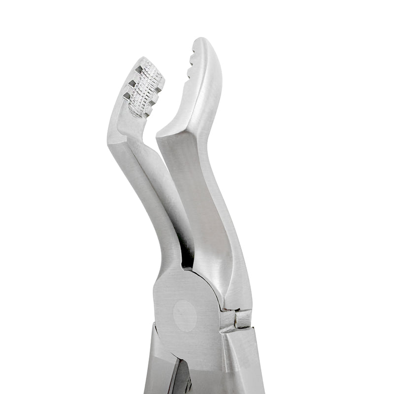 Power Atraumatic Extraction Forceps – Universal F6P, Upper Molars – Compact Handle