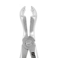 Power Atraumatic Extraction Forceps – Universal F6P, Upper Molars