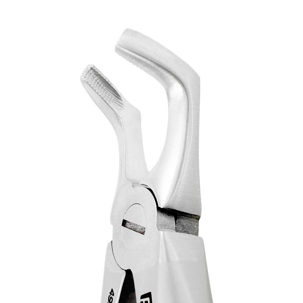 Pediatric Extraction Forceps – F7B, Lower Third Molars